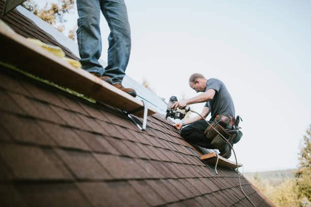Best Metal Roofing Contractor  in Stoughton, WI