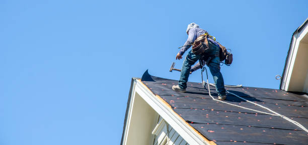 Best Flat Roof Repair Services  in Stoughton, WI